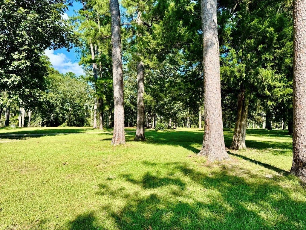 2.16 acres in Texas County gallery image 3