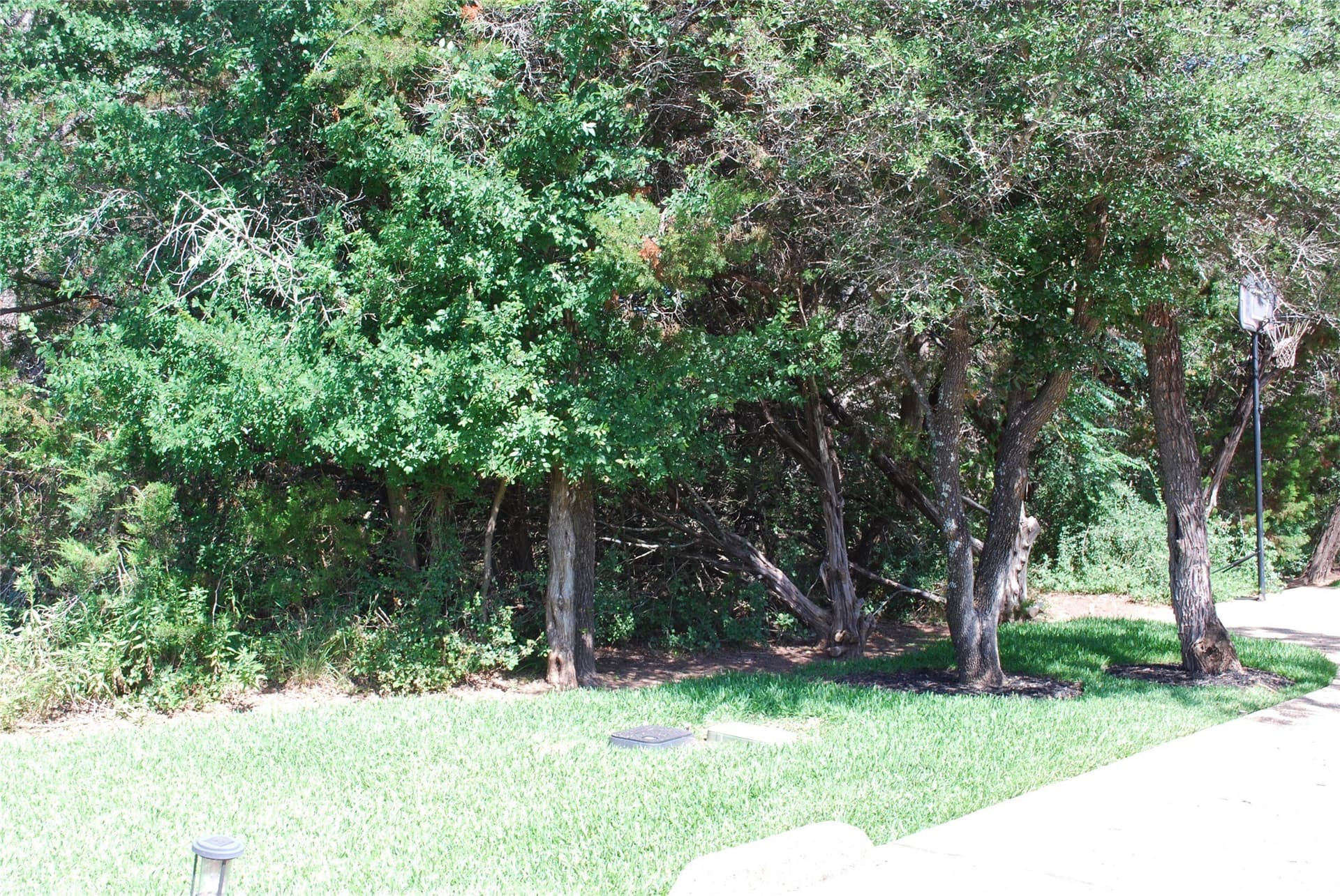 0.25 acres in Hill County - photo 6