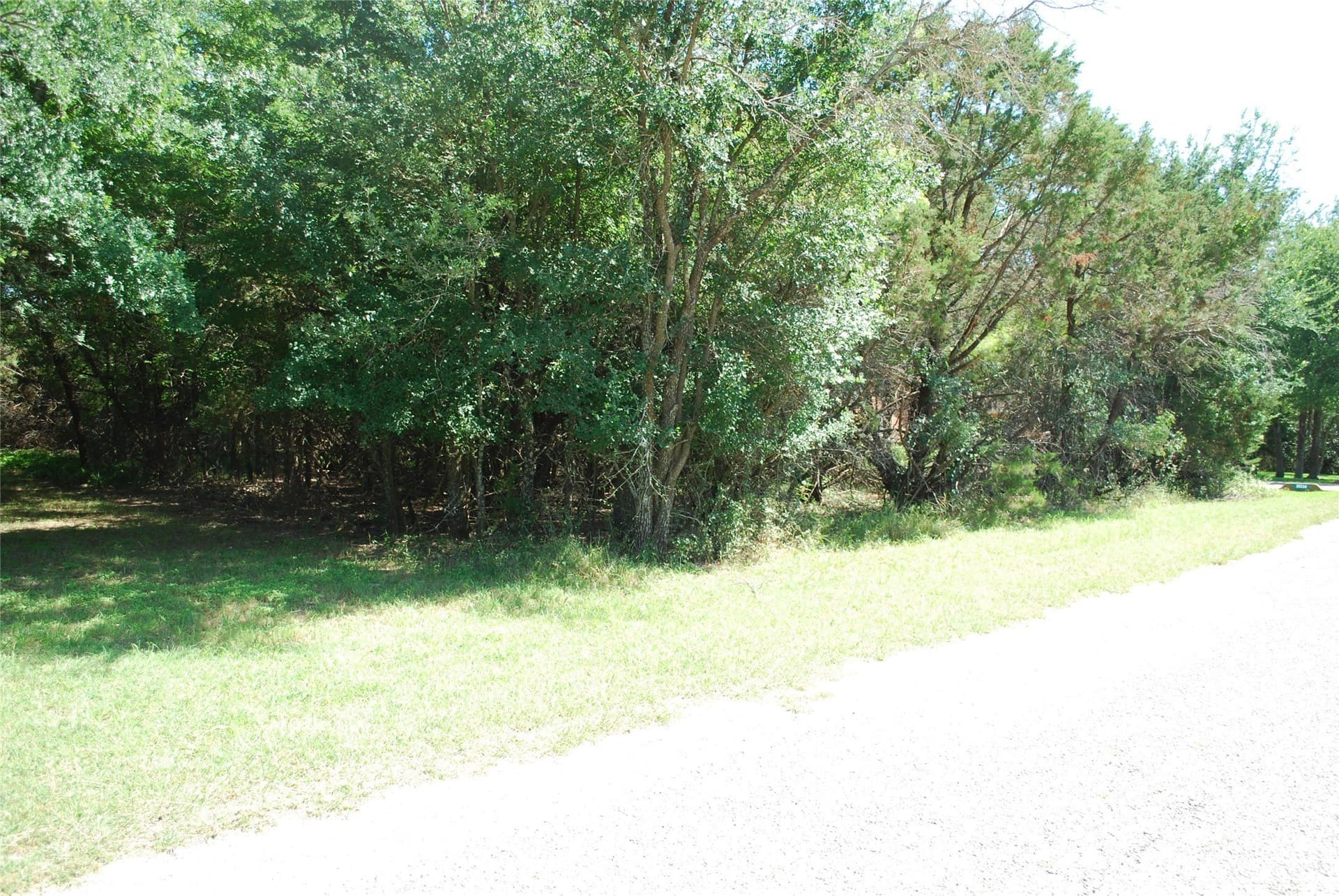 0.25 acres in Hill County - photo 7