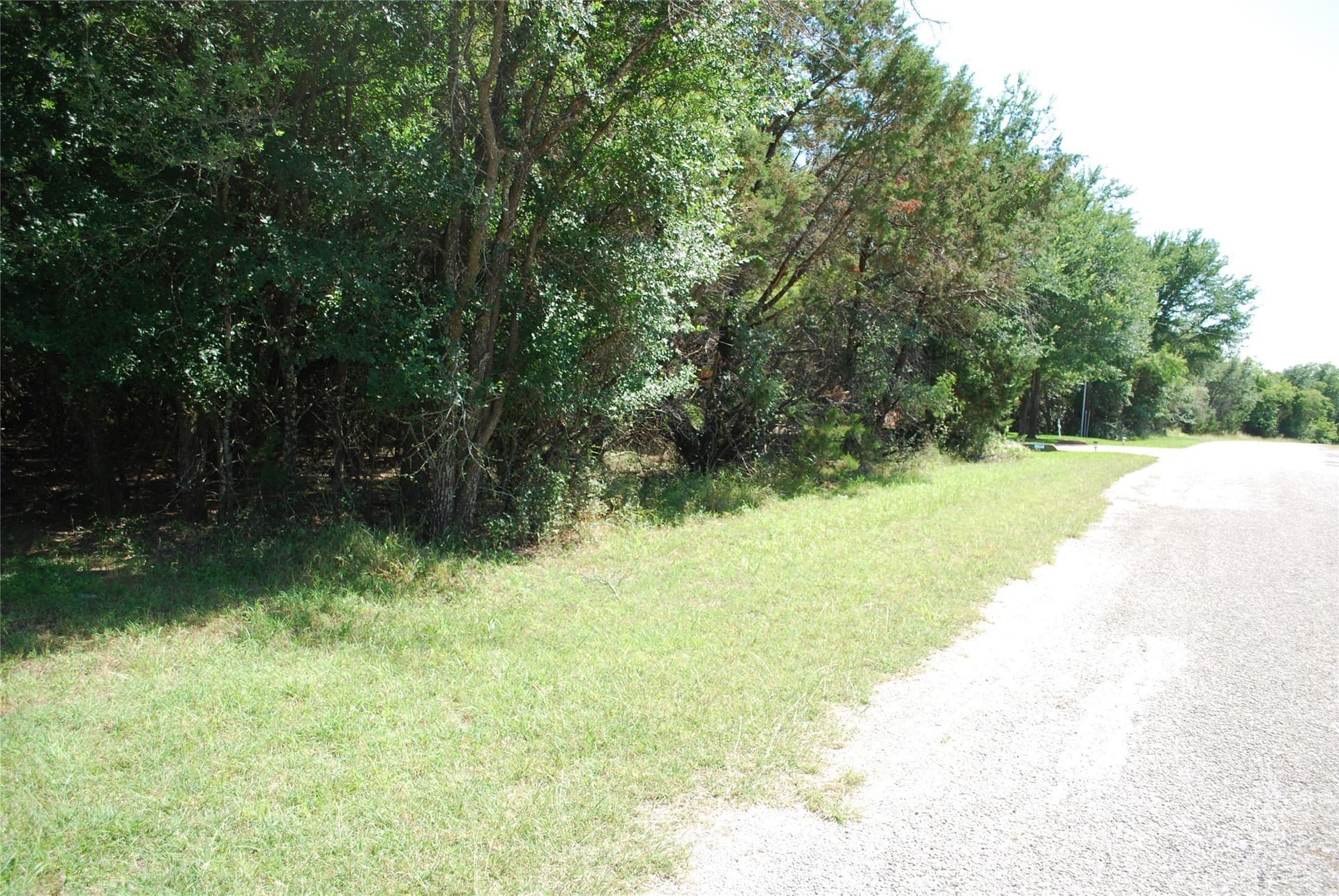 0.25 acres in Hill County - photo 9