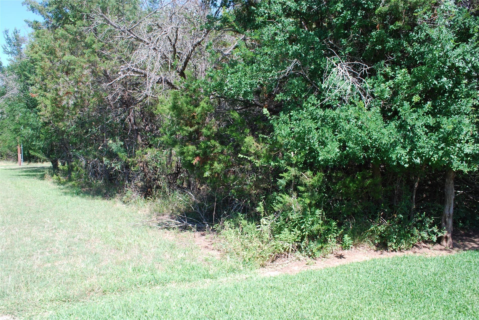 0.25 acres in Hill County - photo 5