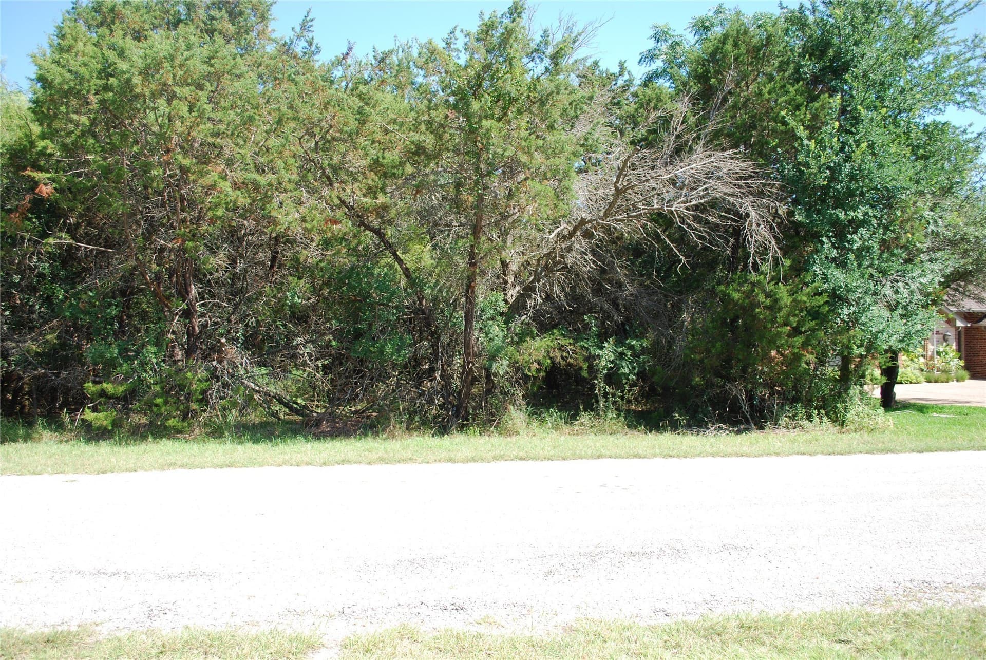 0.25 acres in Hill County - photo 4