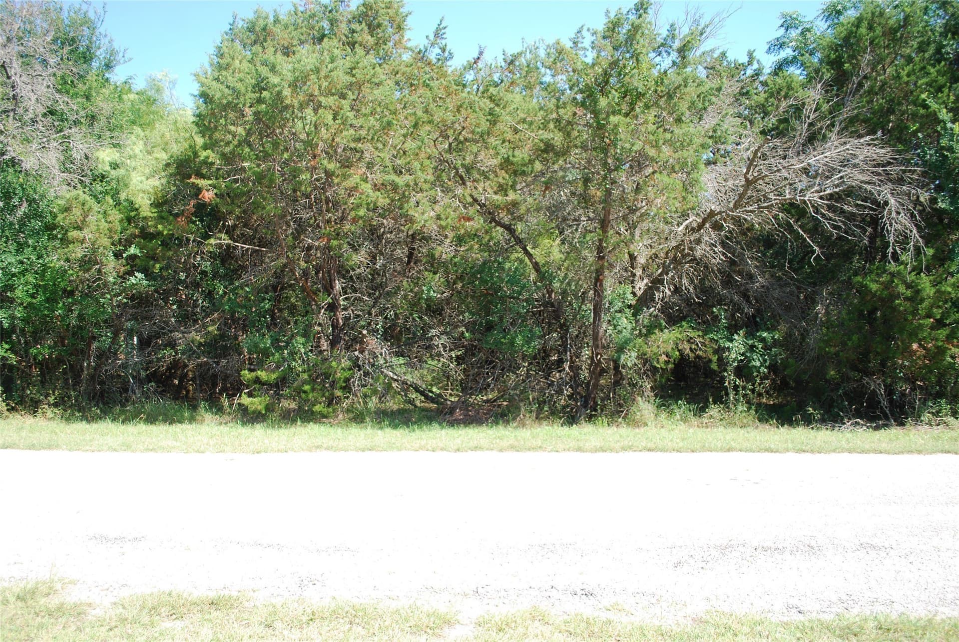 0.25 acres in Hill County - photo 2