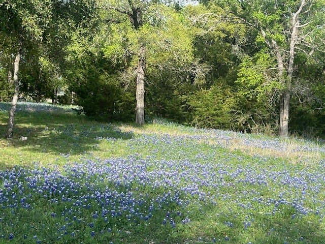 0.58 acres in Hill County - photo 4