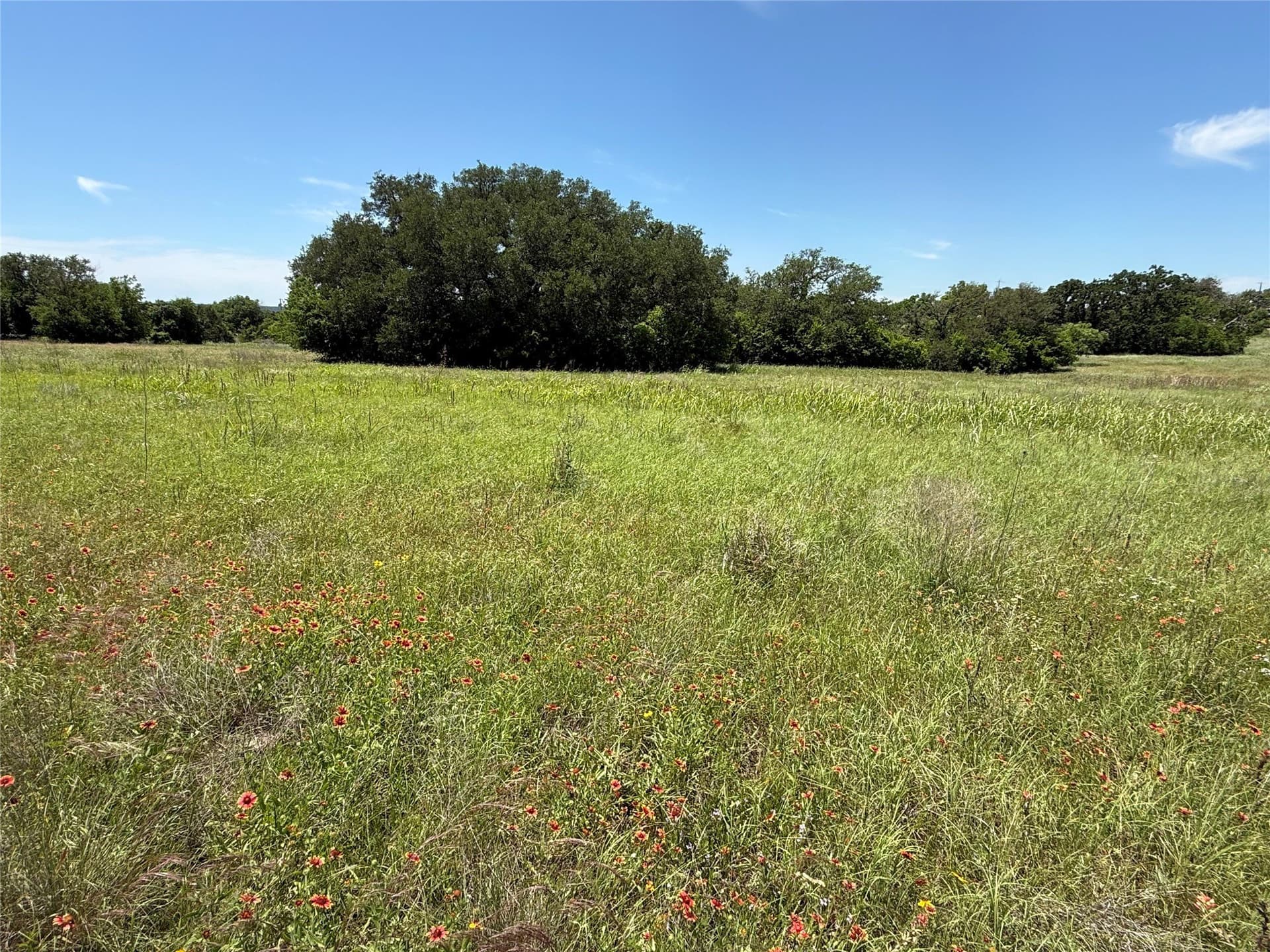 7.72 acres in Hamilton County - photo 11
