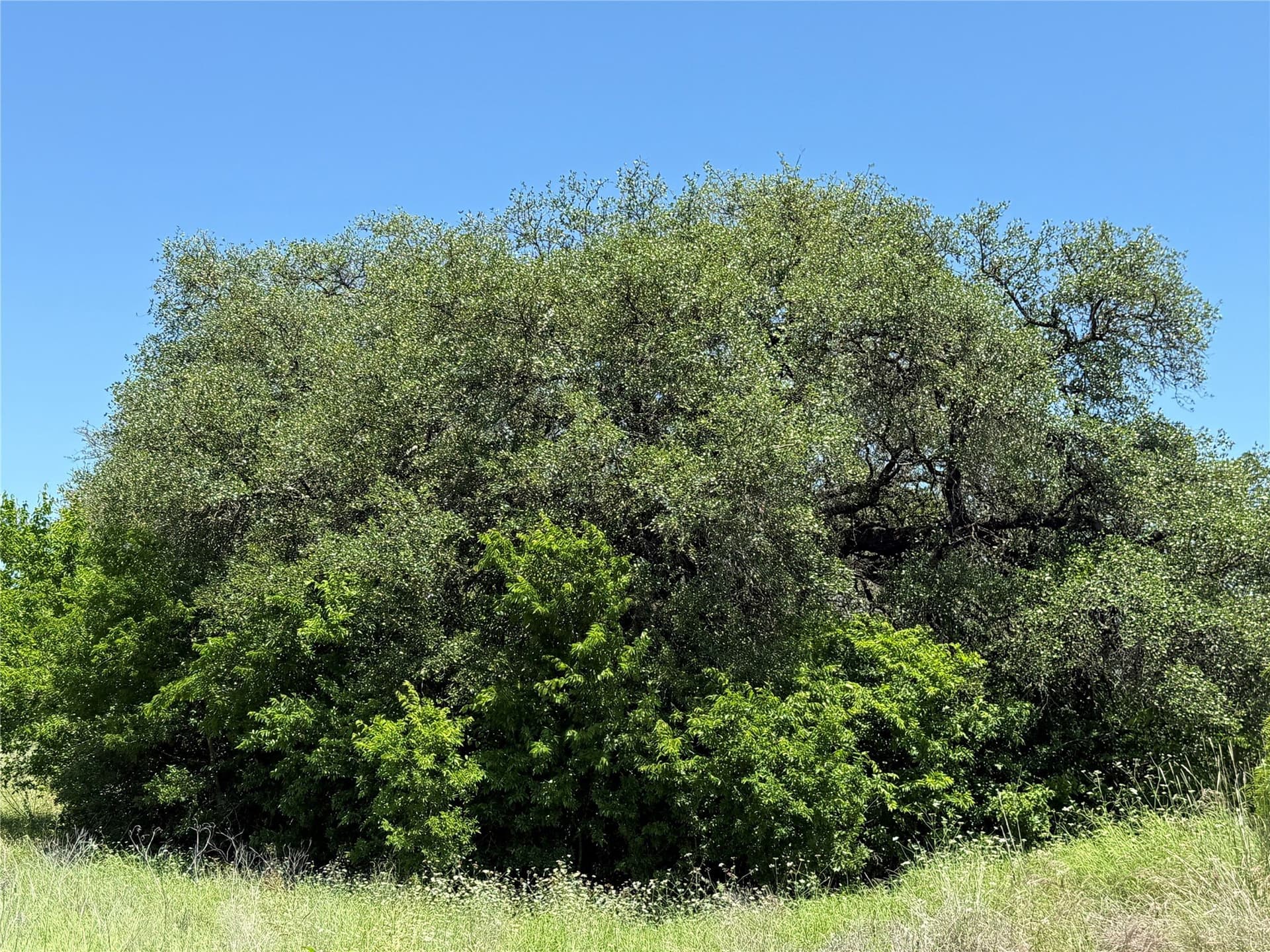 7.72 acres in Hamilton County - photo 6