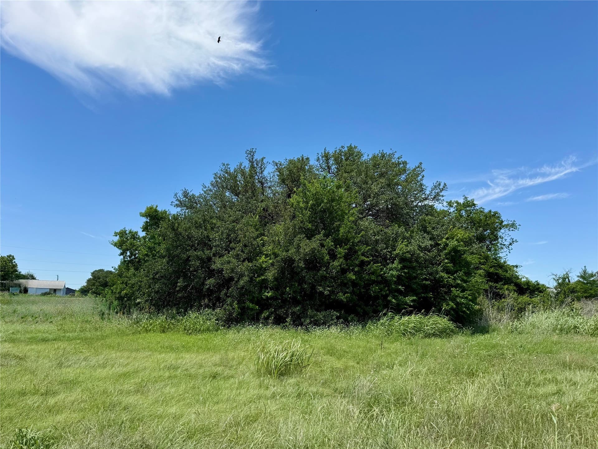 7.72 acres in Hamilton County - photo 12