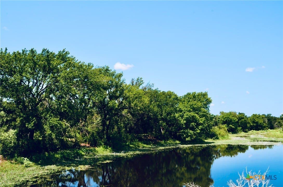 55.96 acres in Burnet County gallery image 2