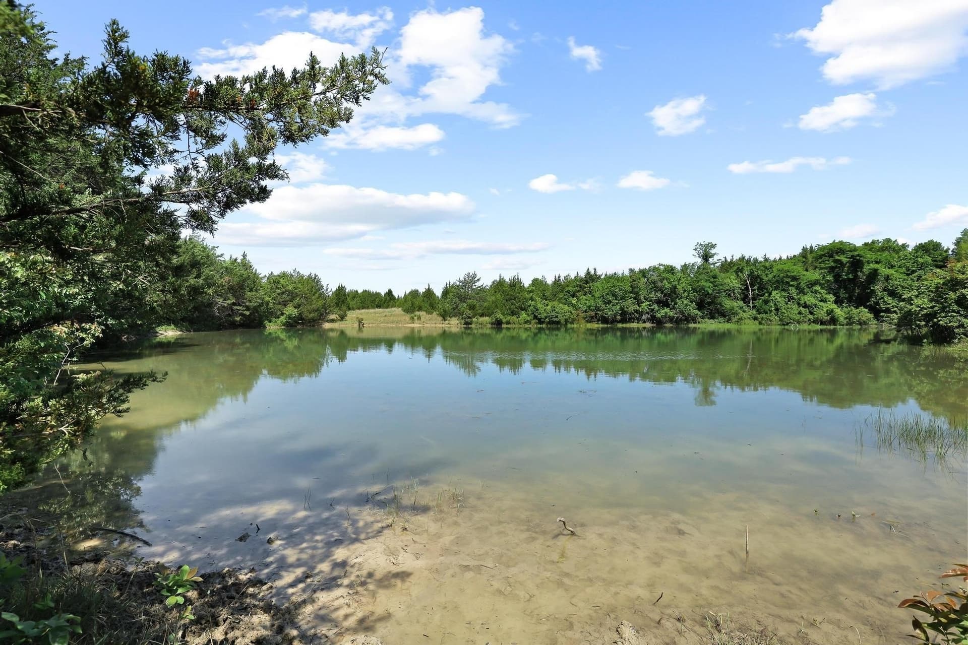 255.34 acres in Fannin County featured view