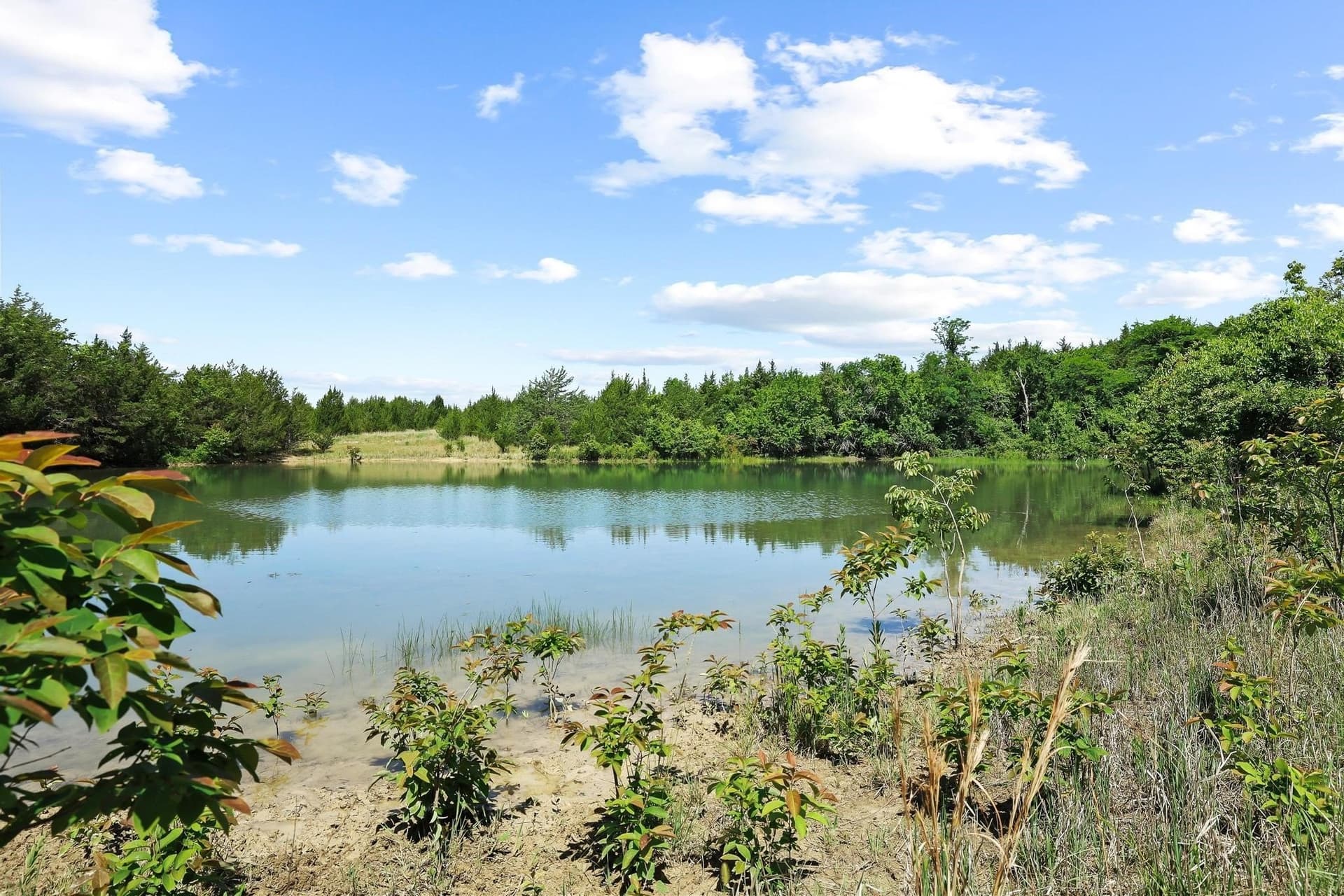 255.34 acres in Fannin County gallery image 4