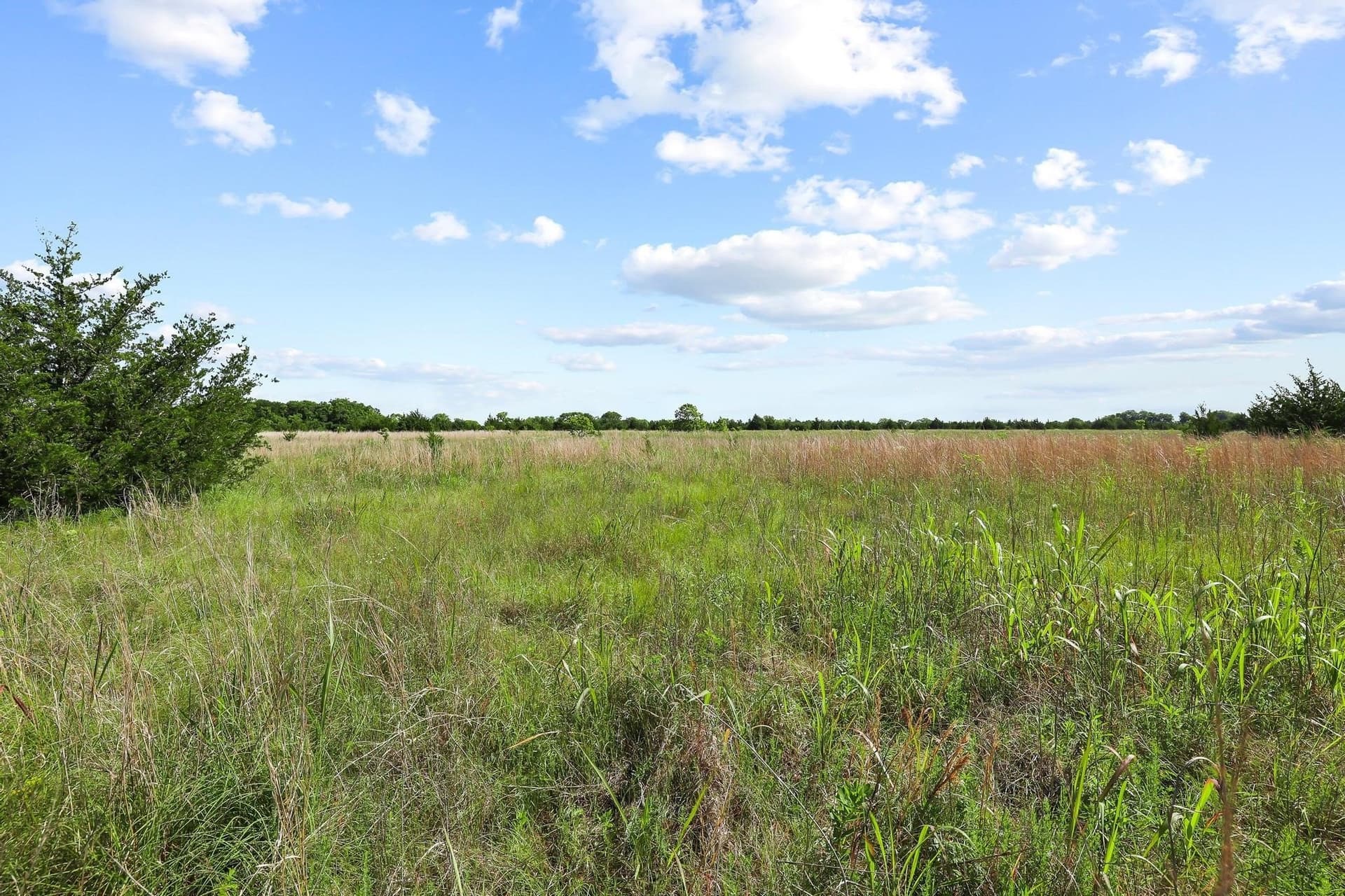 255.34 acres in Fannin County gallery image 3