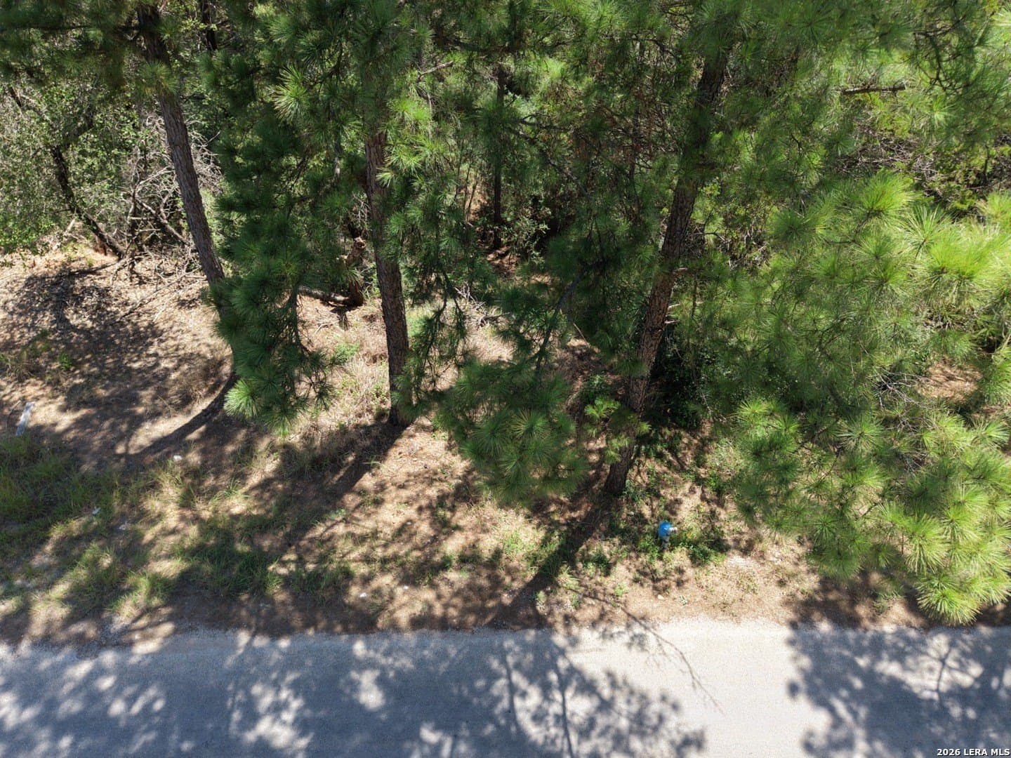 0.78 acres in Bastrop County - photo 11