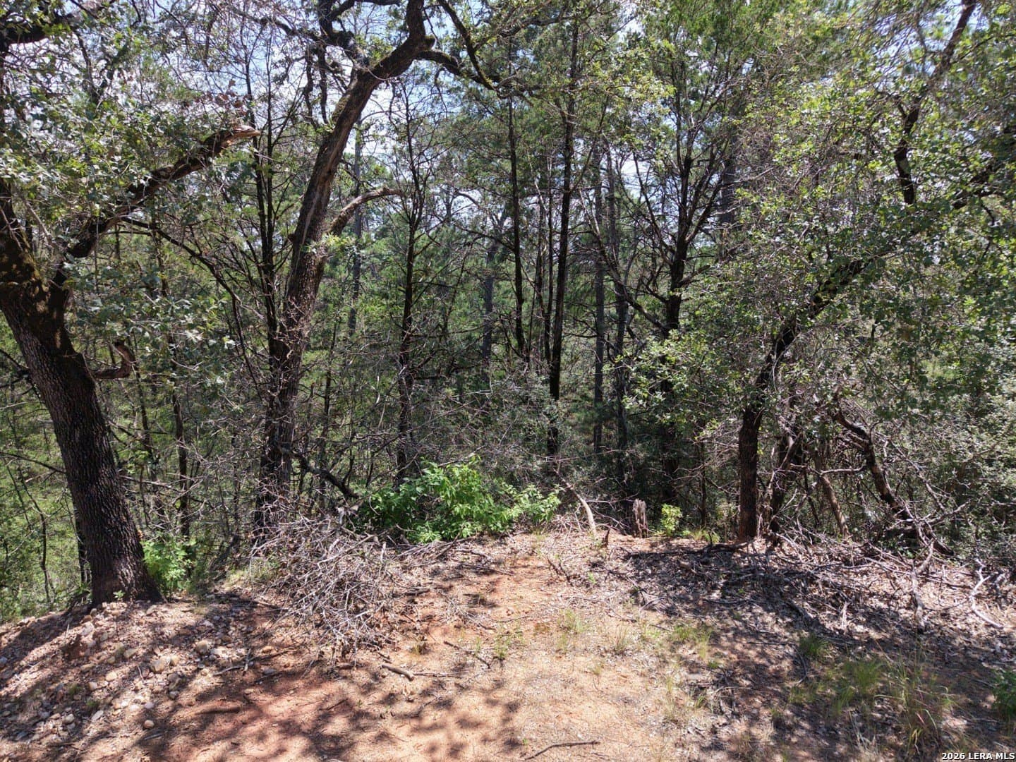 0.78 acres in Bastrop County - photo 7