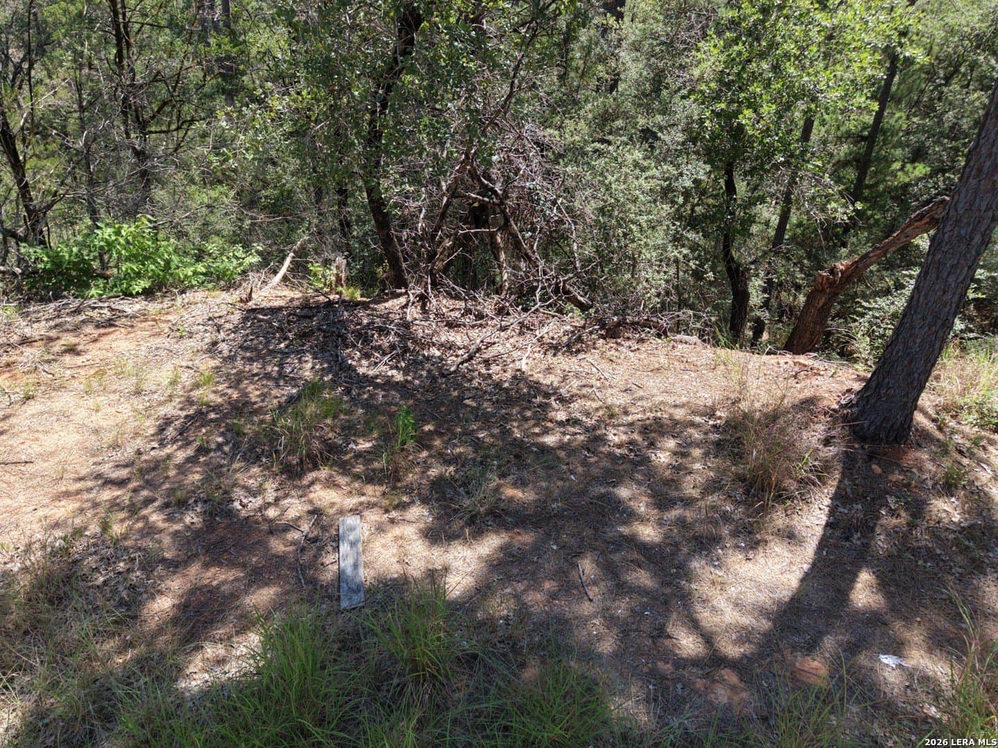 0.78 acres in Bastrop County - photo 8