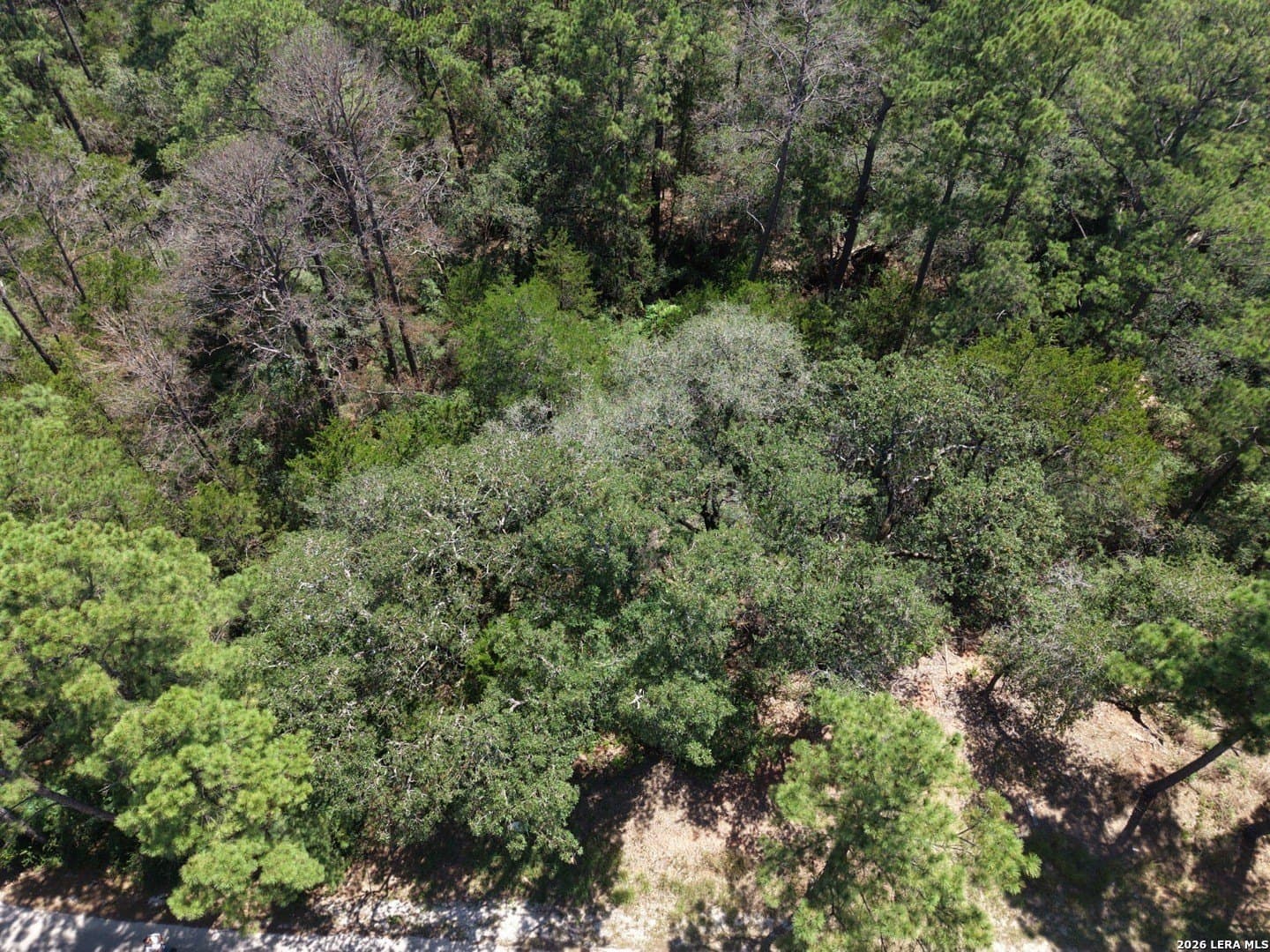 0.78 acres in Bastrop County - photo 18