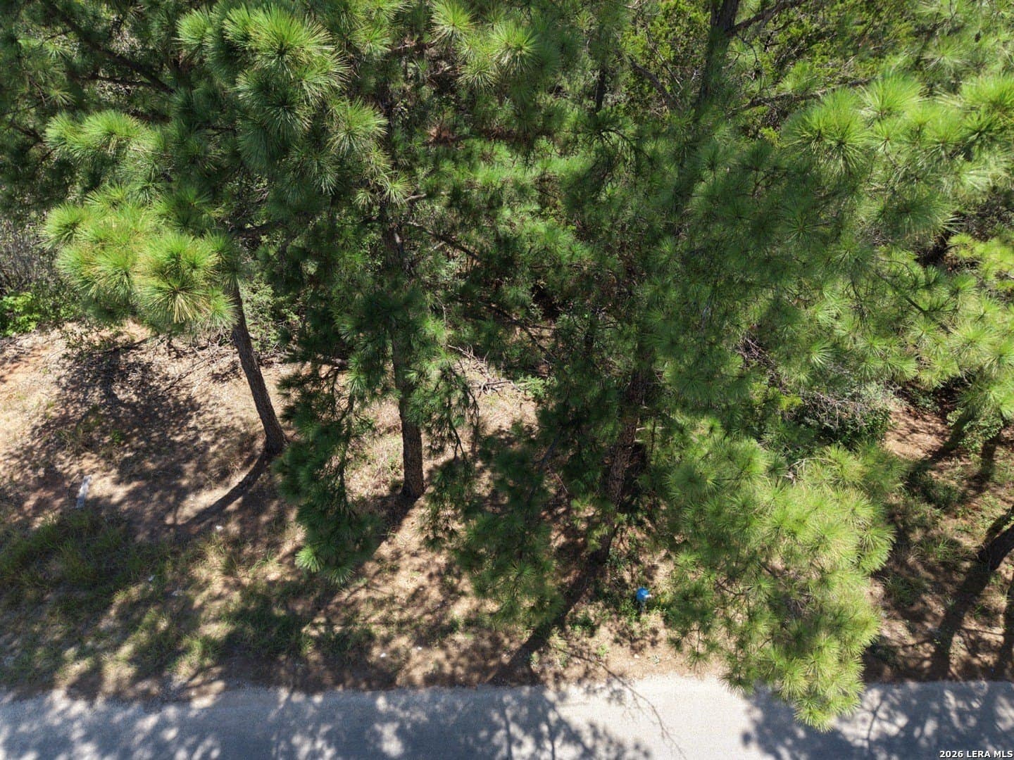 0.78 acres in Bastrop County - photo 12