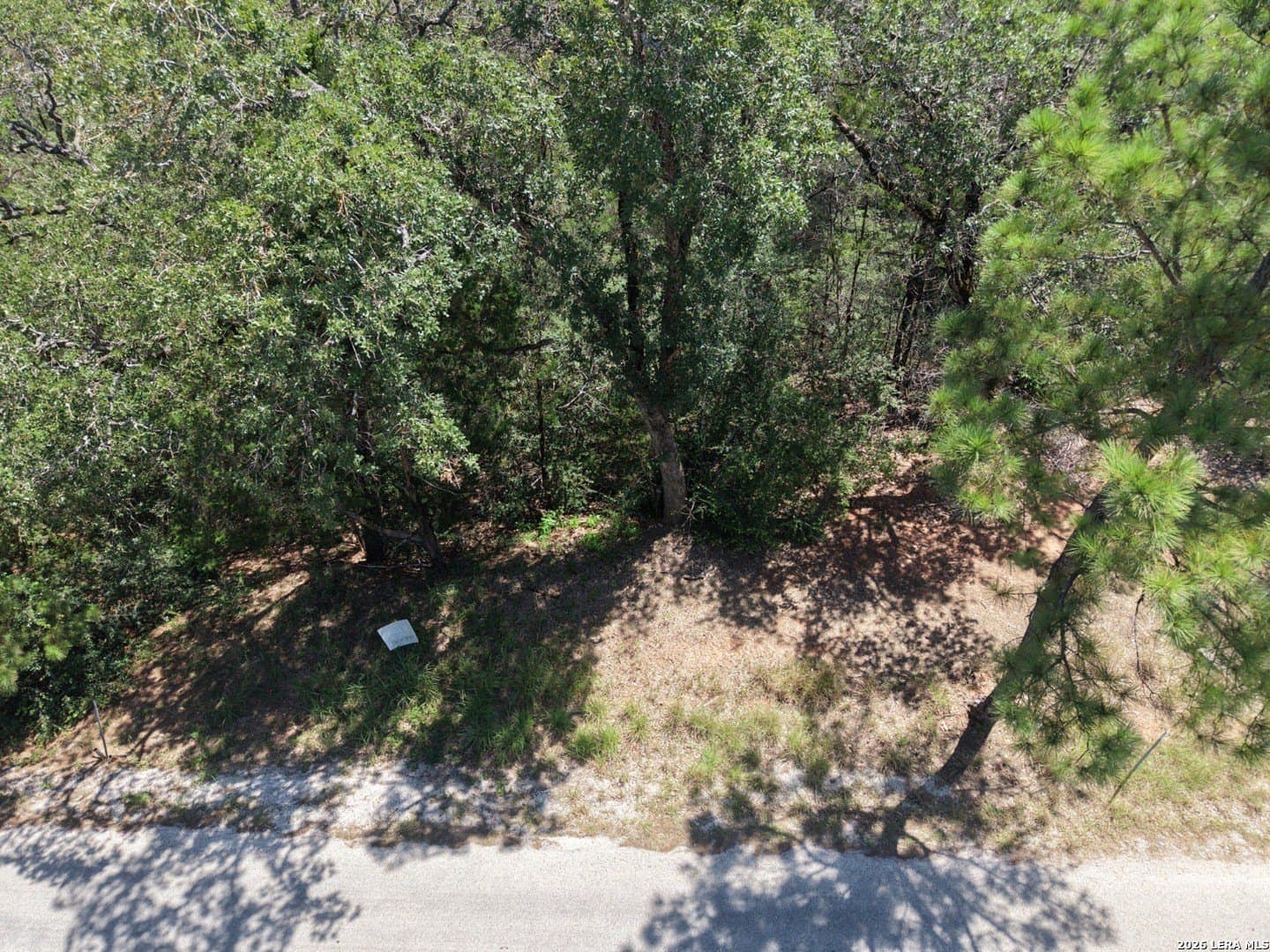 0.78 acres in Bastrop County - photo 19