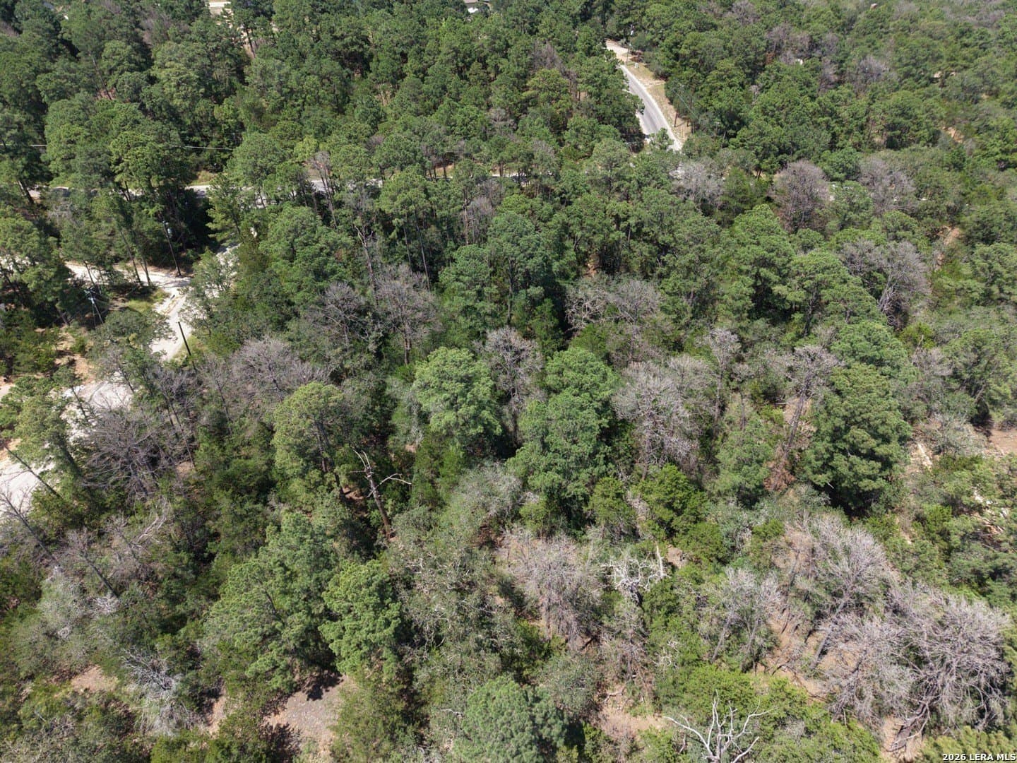 0.78 acres in Bastrop County - photo 4