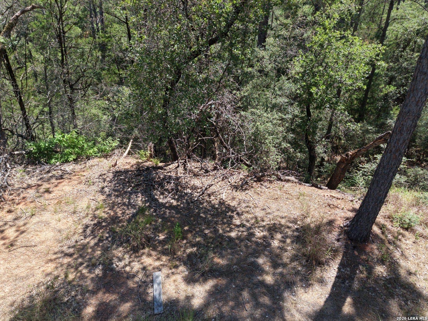 0.78 acres in Bastrop County - photo 9