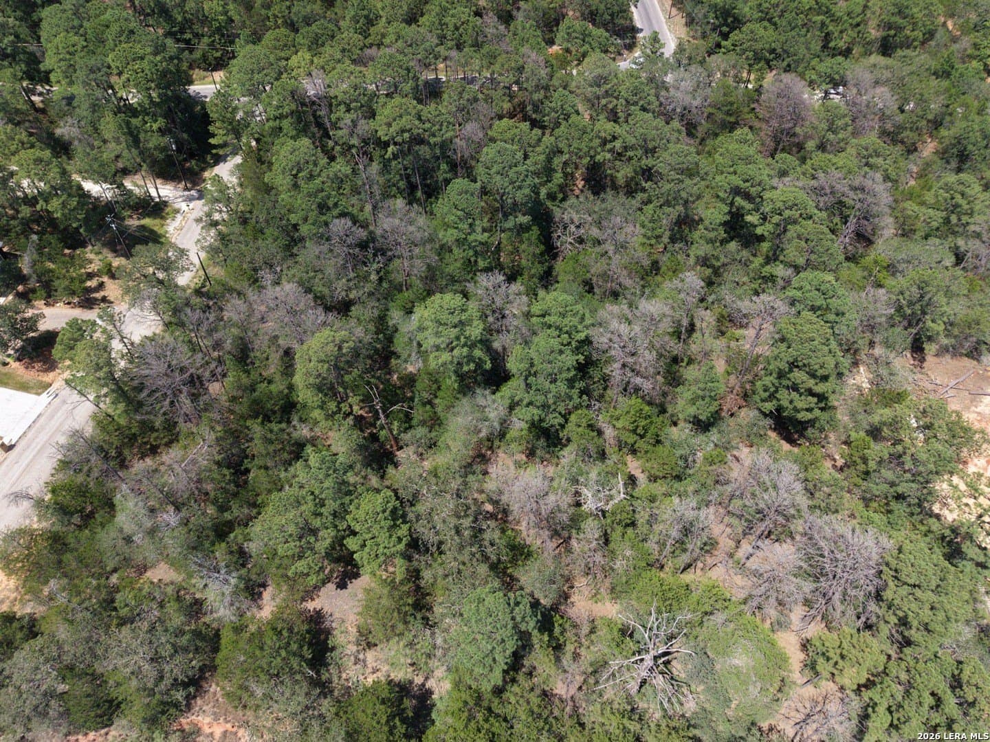 0.78 acres in Bastrop County - photo 3