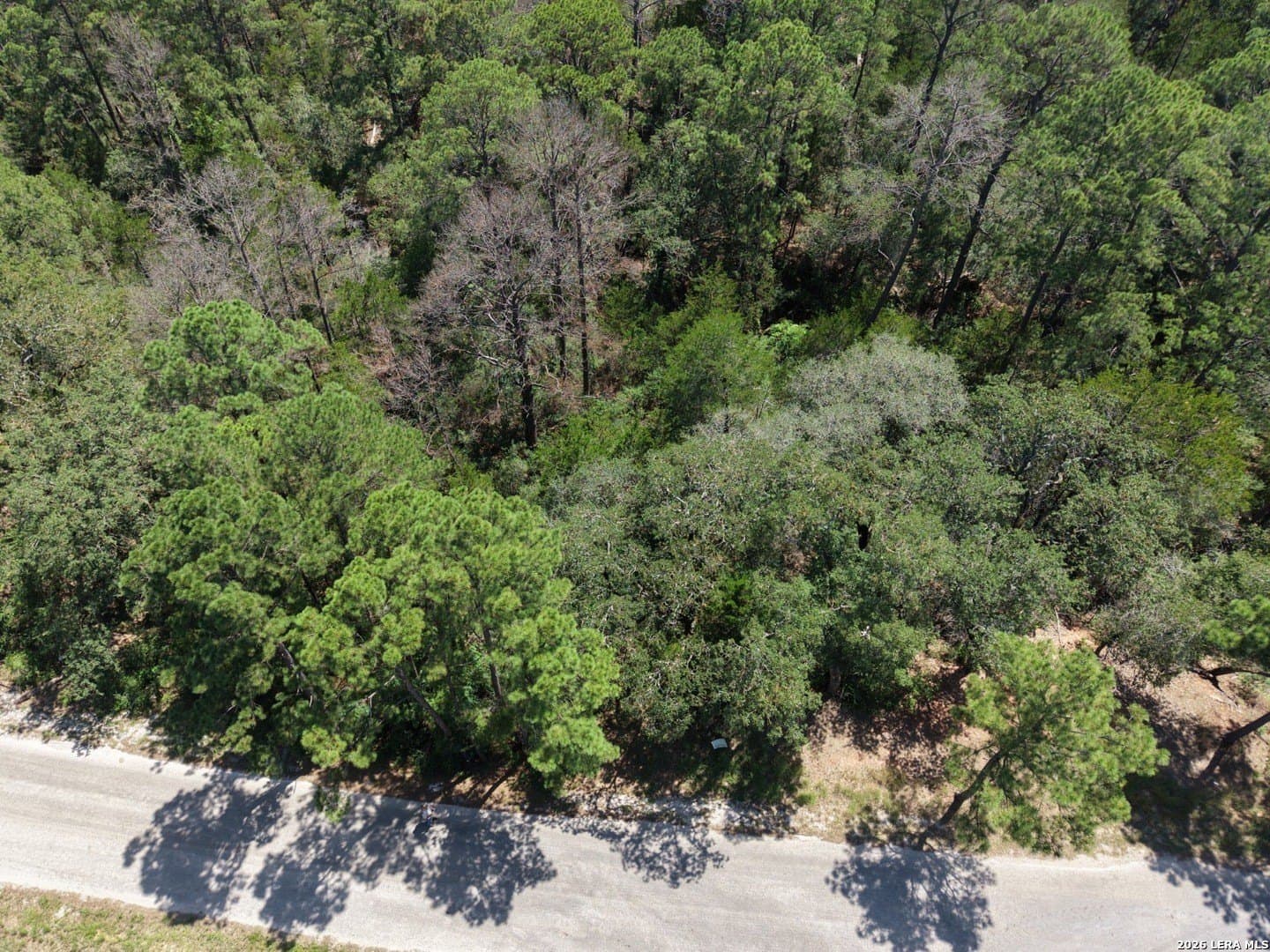 0.78 acres in Bastrop County - photo 15