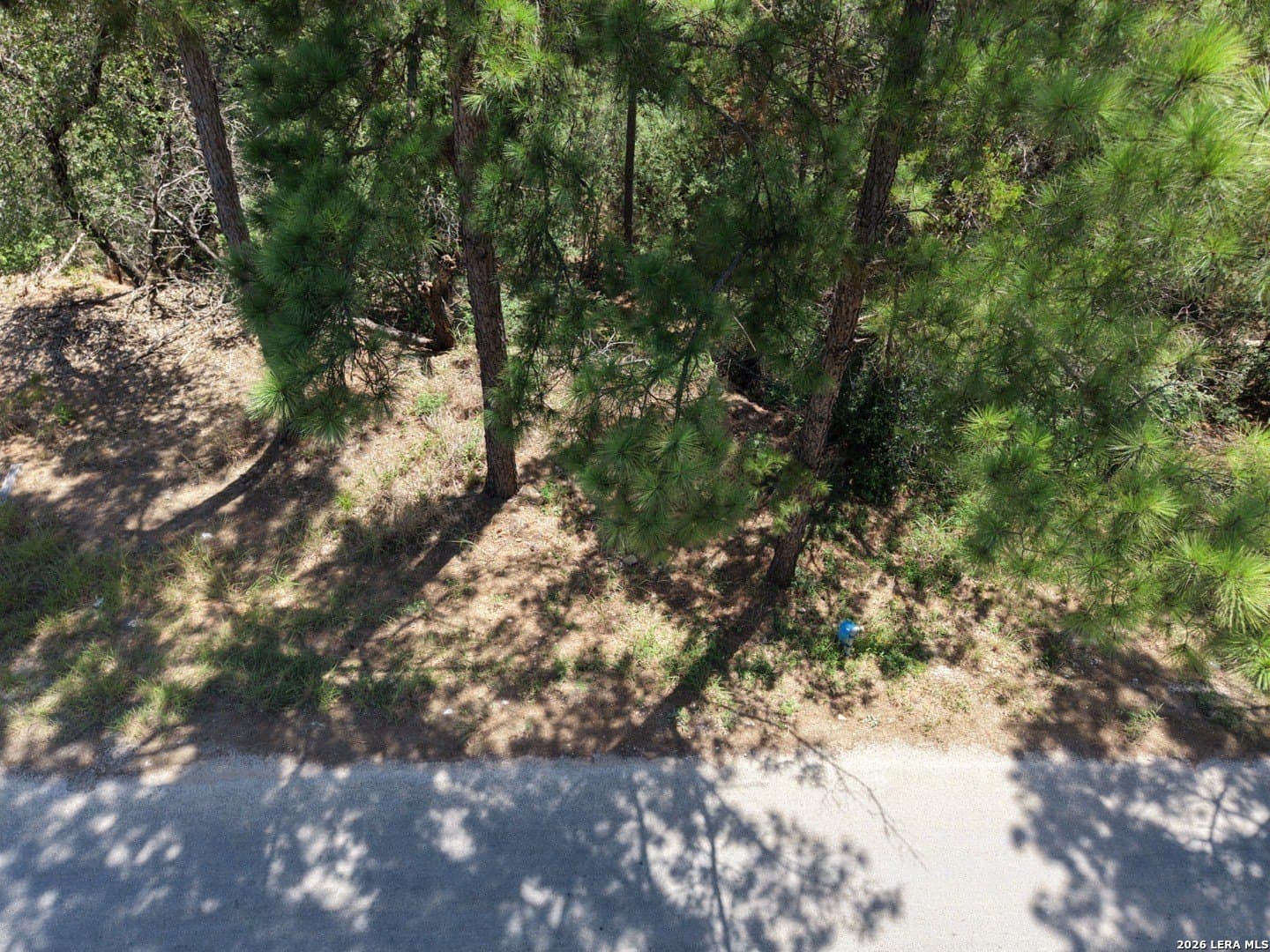 0.78 acres in Bastrop County - photo 10