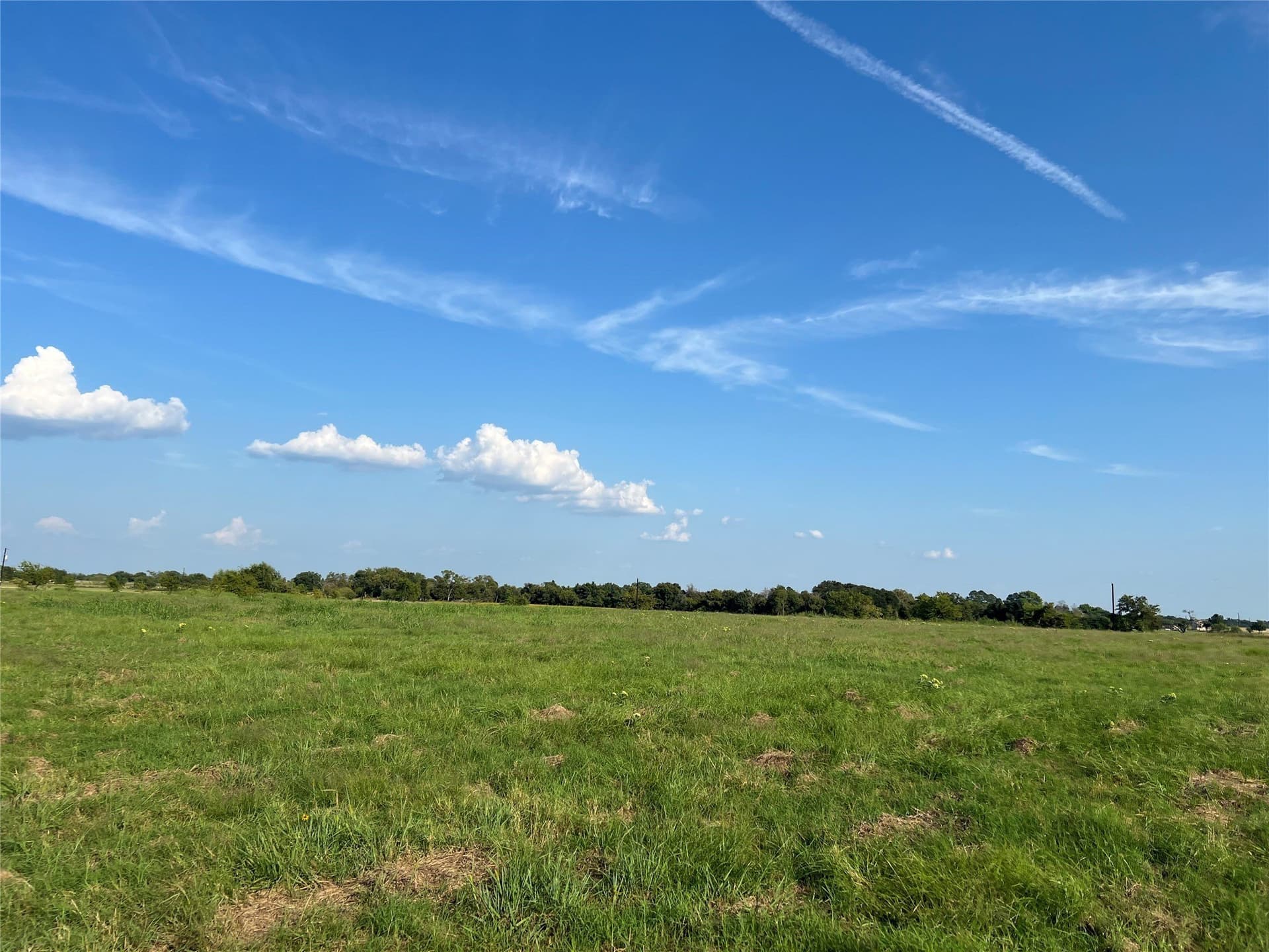 2.5 acres in Navarro County - photo 7