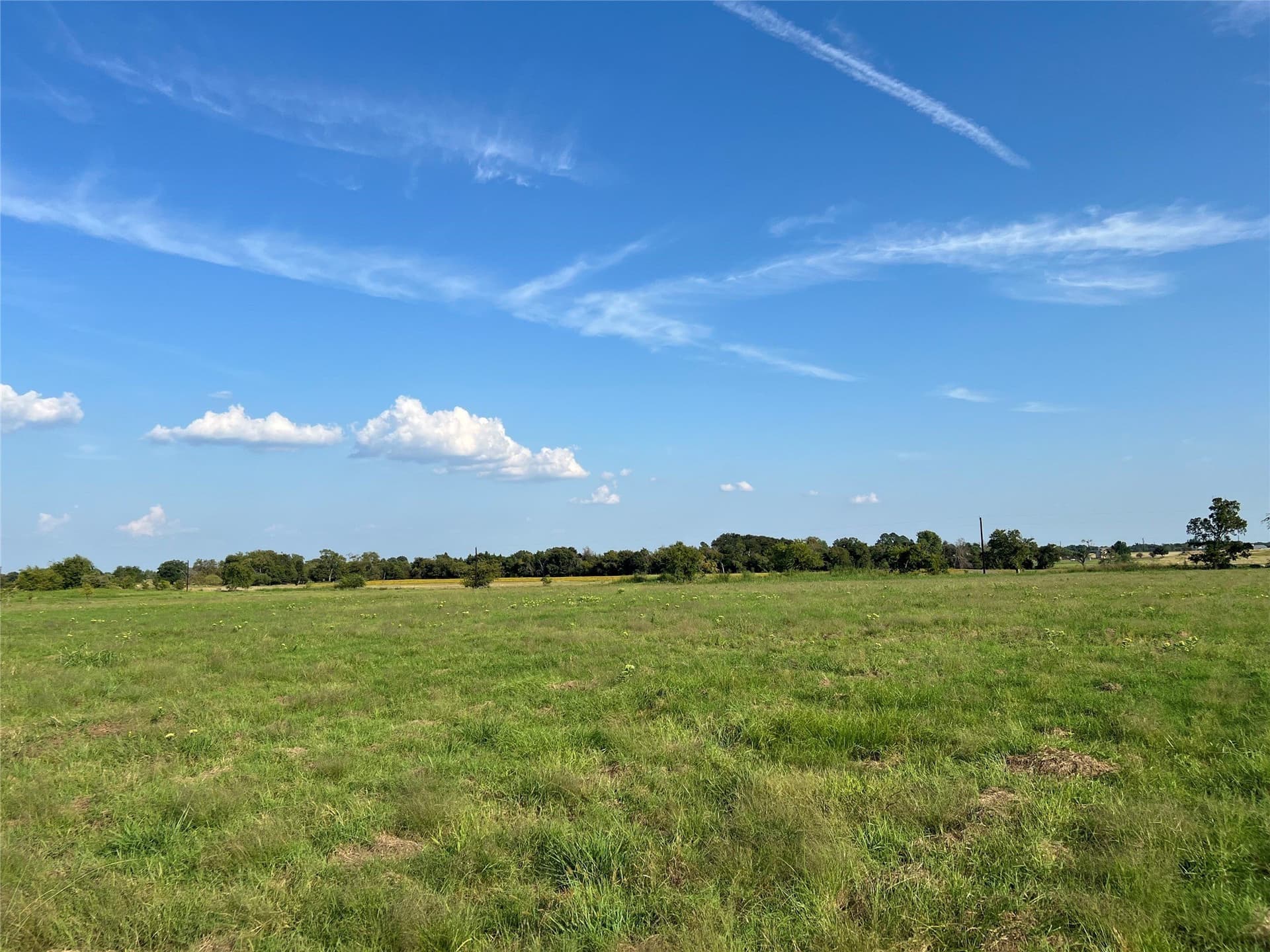 2.5 acres in Navarro County - photo 9