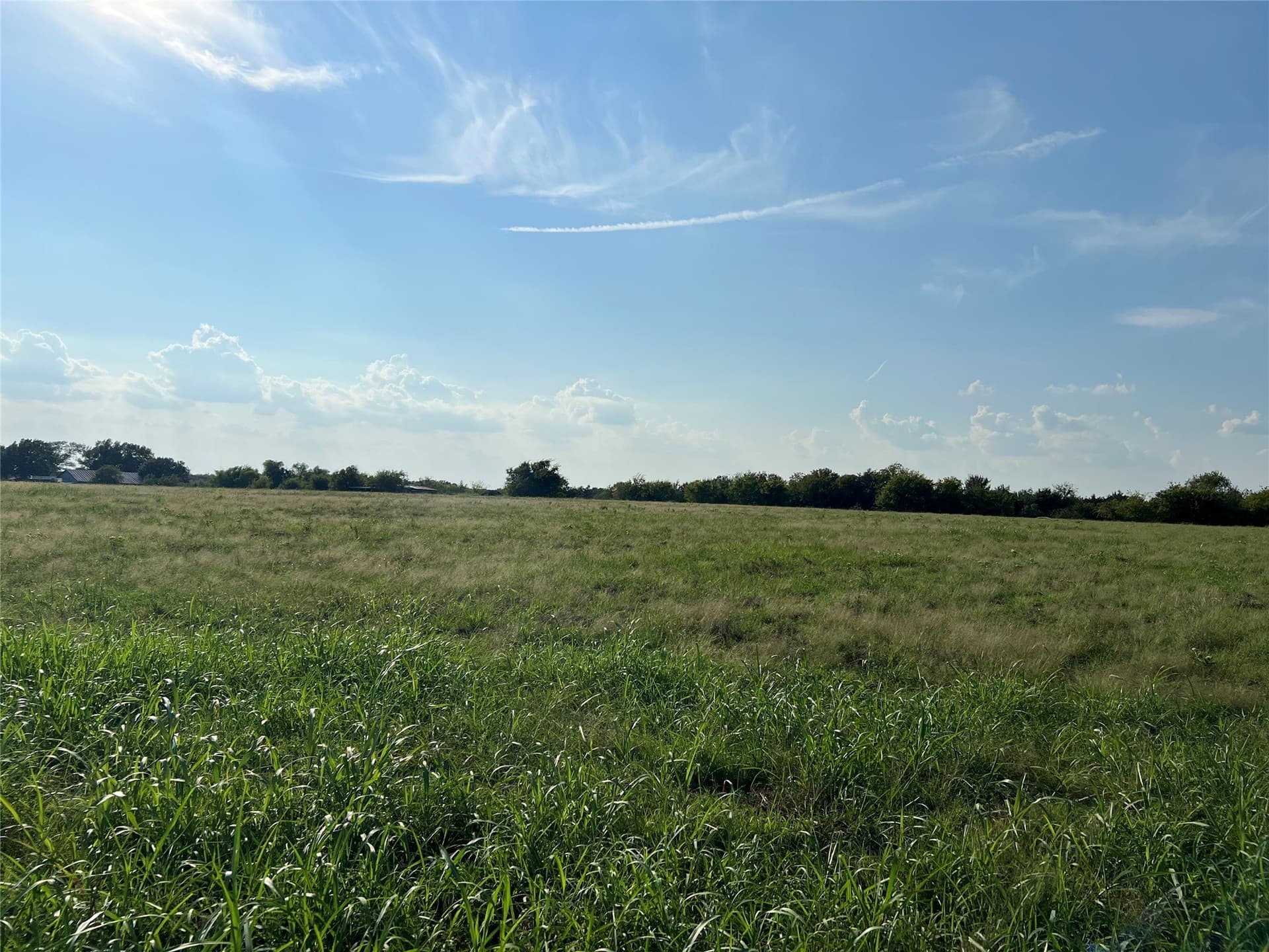 2.5 acres in Navarro County - photo 11