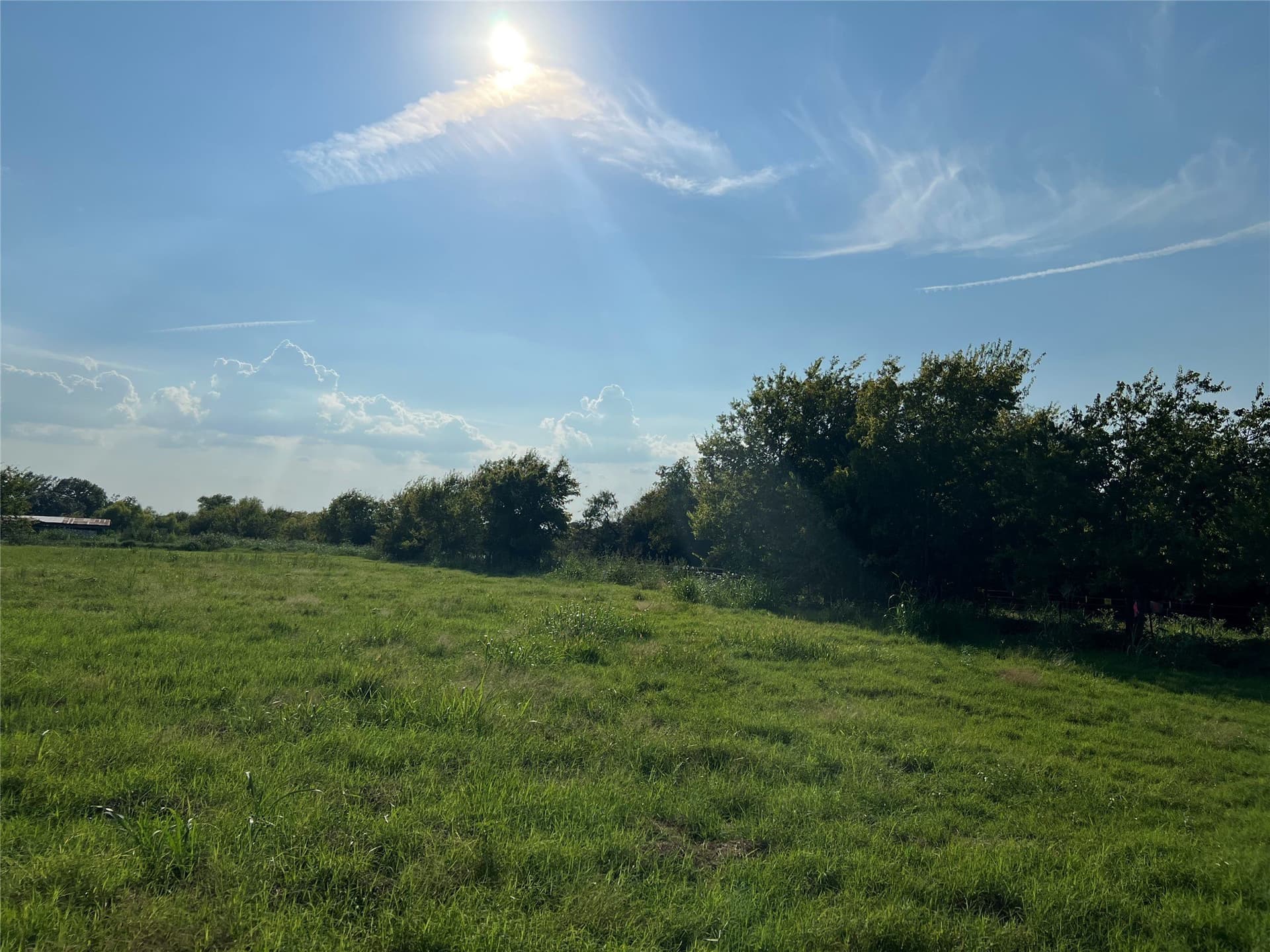 2.5 acres in Navarro County - photo 8