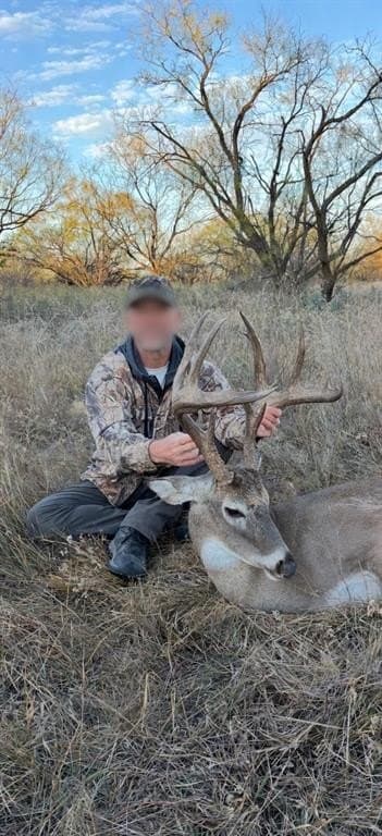 45 acres in Stephens County gallery image 3