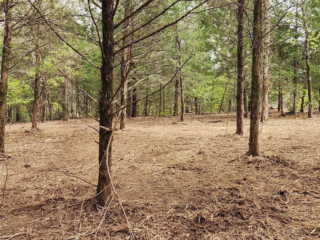 5.01 acres in Henderson County featured view