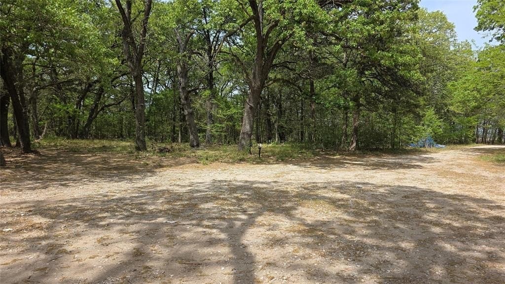 60 acres in Fannin County featured view