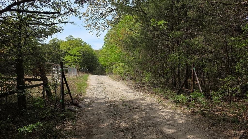 60 acres in Fannin County gallery image 3