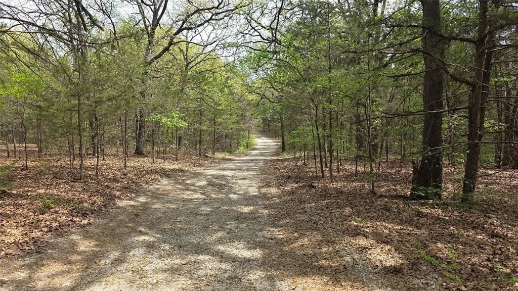 60 acres in Fannin County gallery image 2