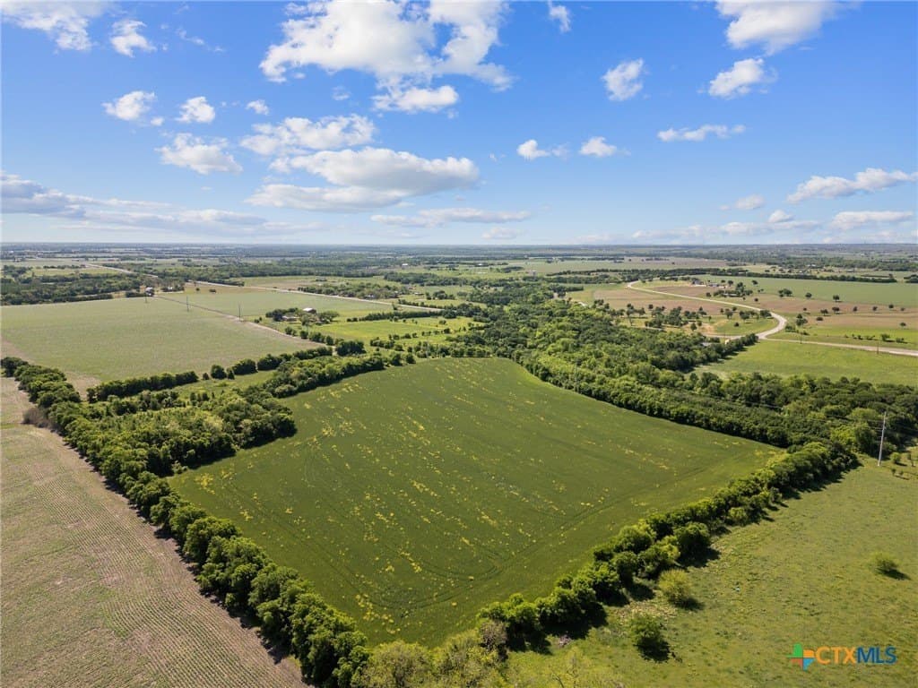 14 acres in Bell County gallery image 4