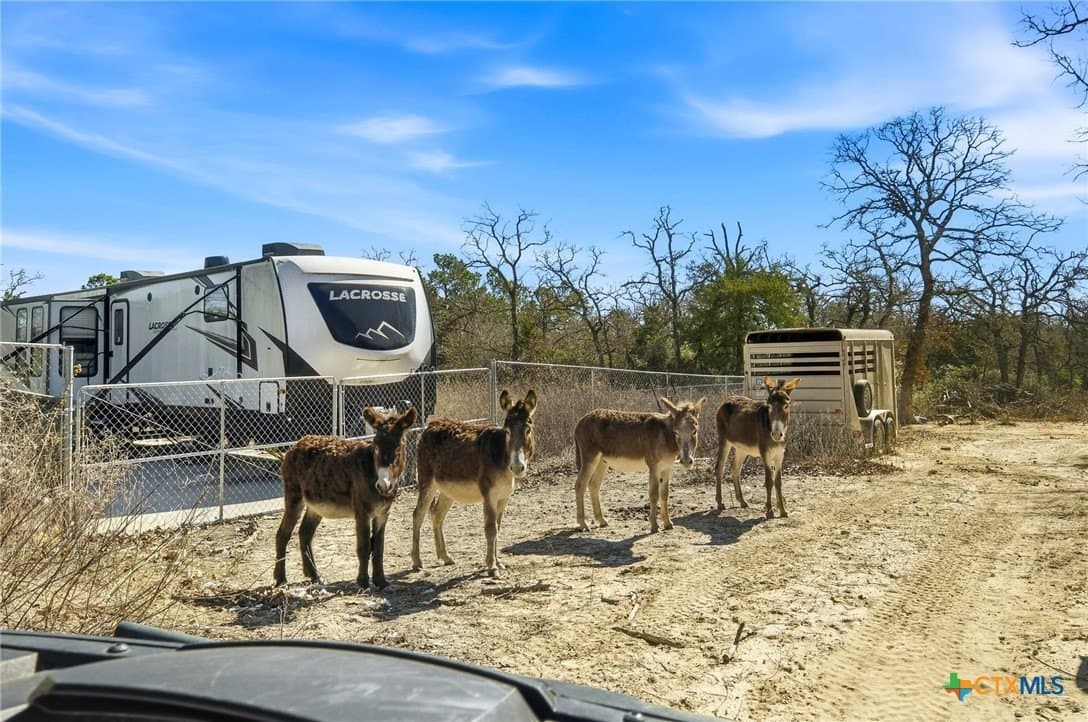 31.42 acres in Milam County - photo 12