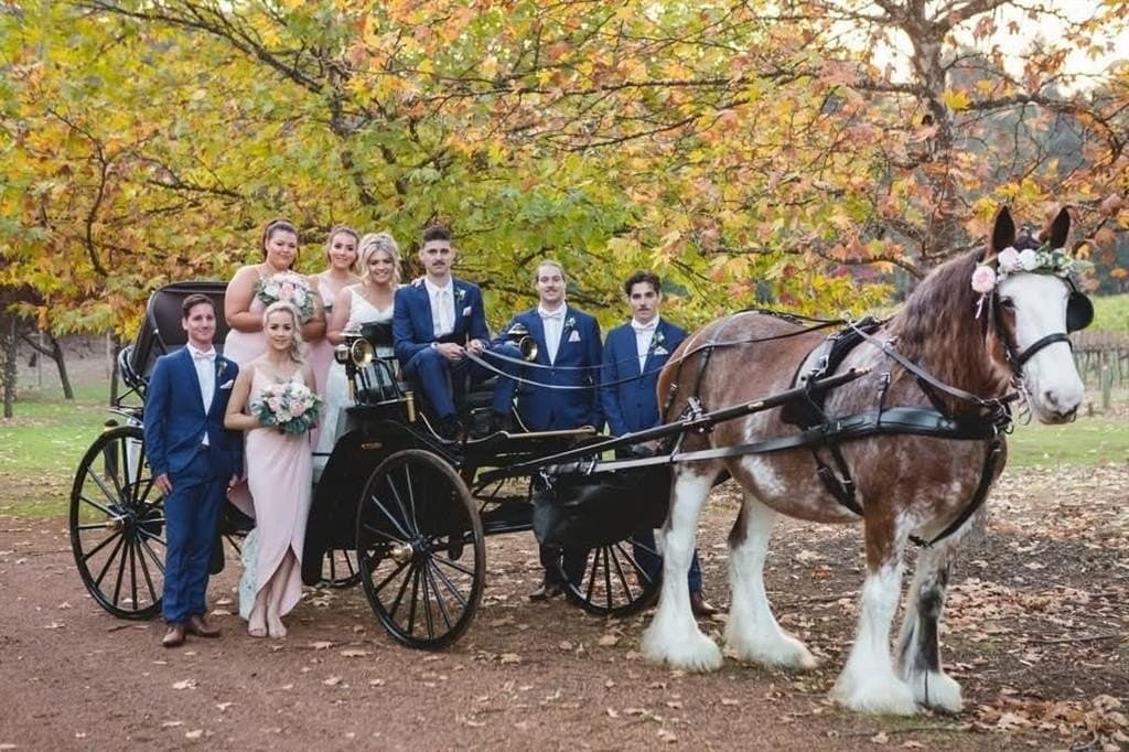 14.9 acres in Fannin County featured view