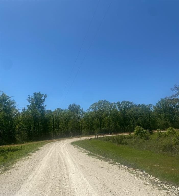 77.6 acres in Freestone County gallery image 3