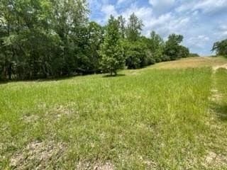 77.6 acres in Freestone County featured view