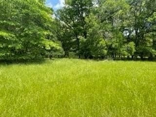 77.6 acres in Freestone County