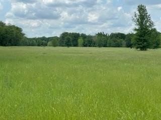 77.6 acres in Freestone County gallery image 4