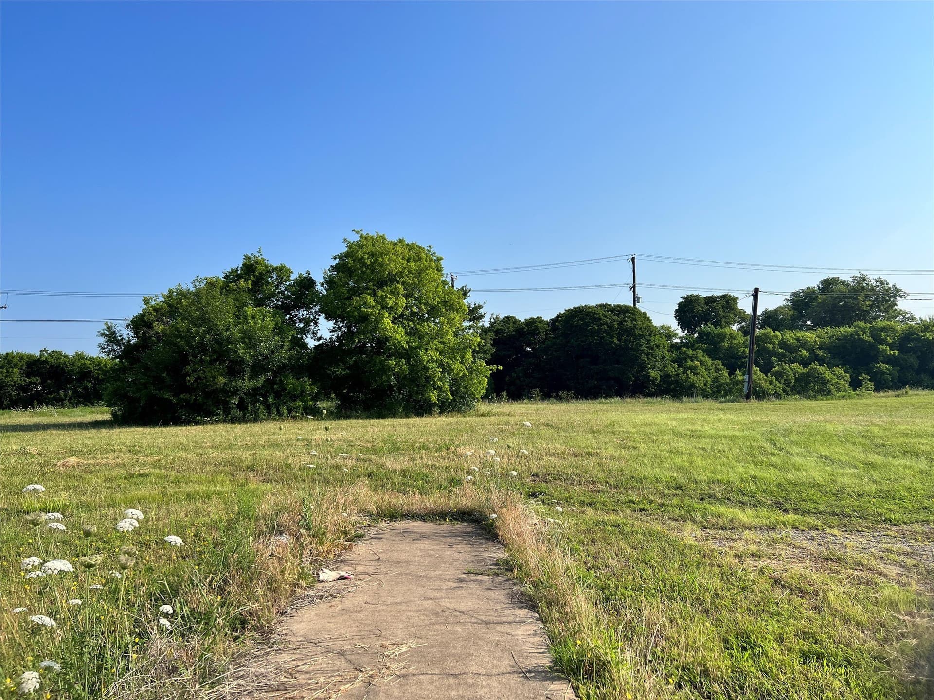 10.26 acres in Dallas County - photo 21