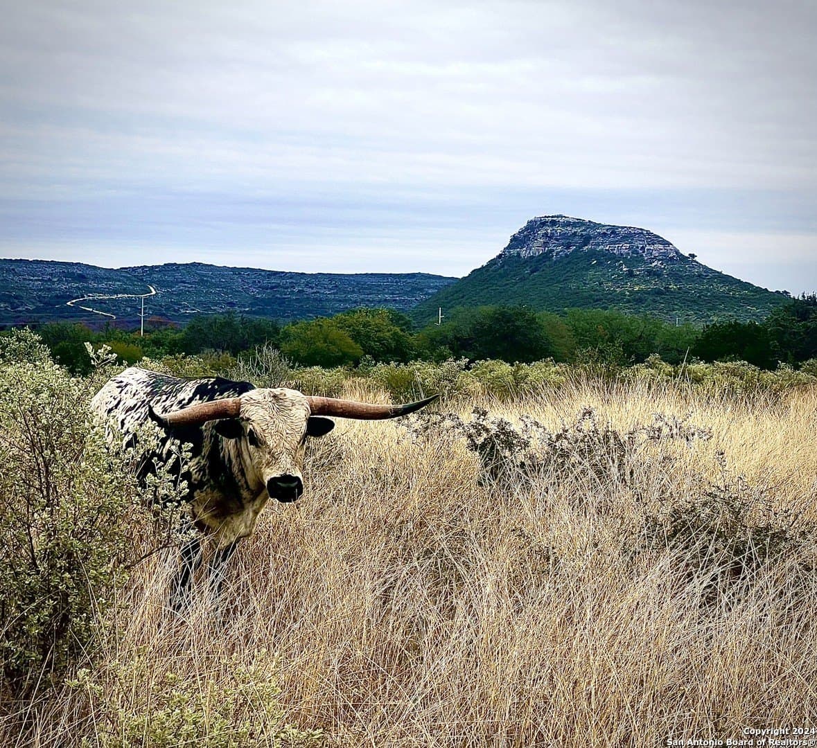 11.52 acres in Uvalde County - photo 30
