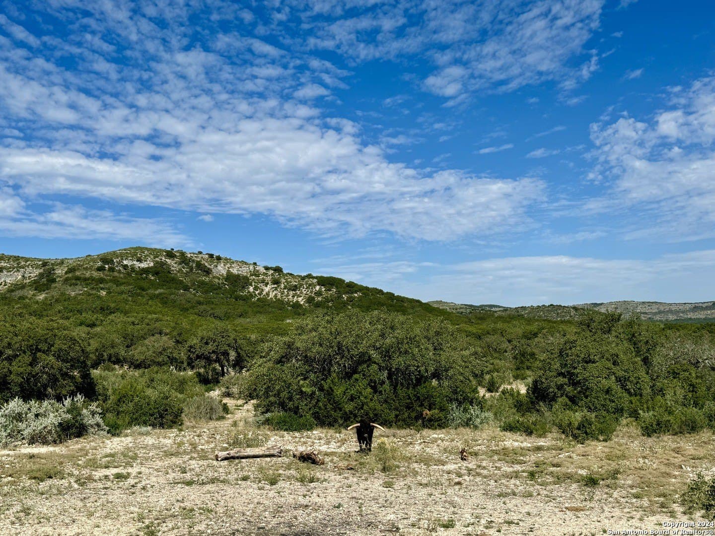 11.52 acres in Uvalde County - photo 31
