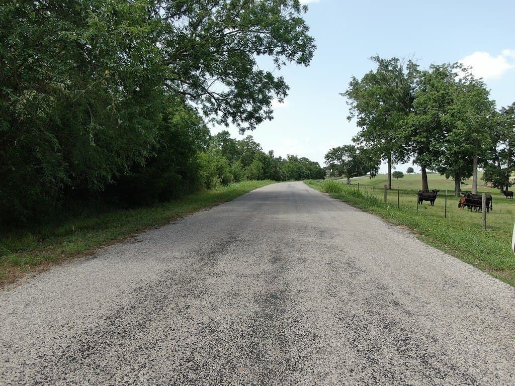 34.99 acres in Austin County gallery image 3