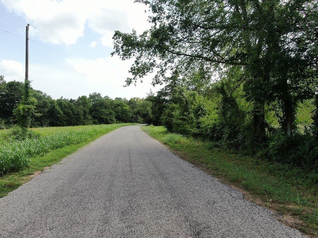 34.99 acres in Austin County gallery image 4