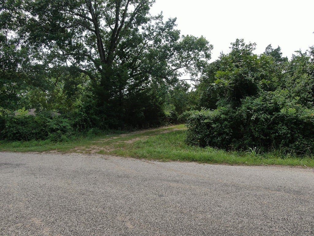 34.99 acres in Austin County featured view