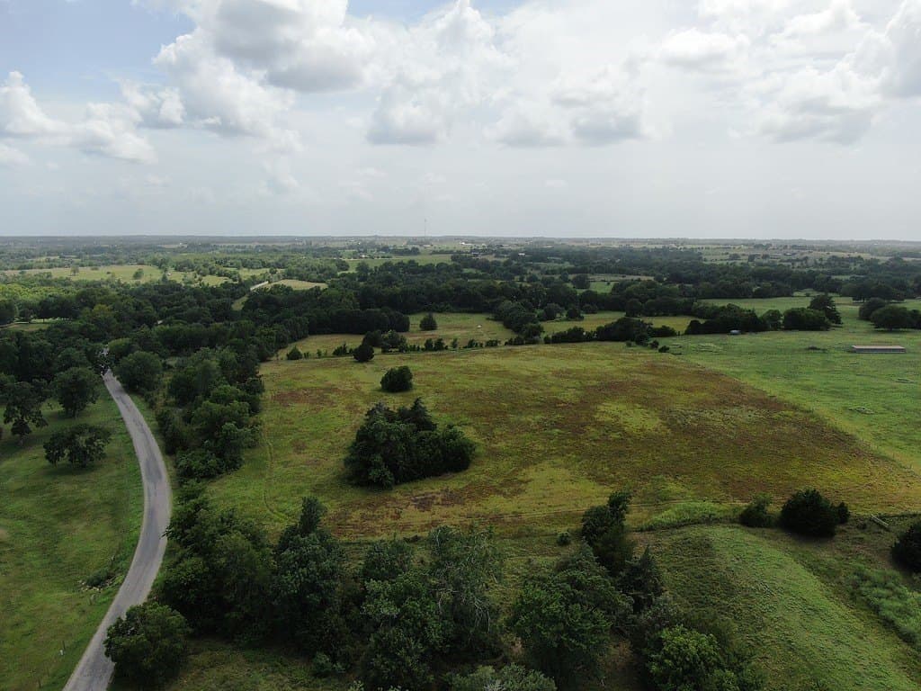 34.99 acres in Austin County gallery image 2