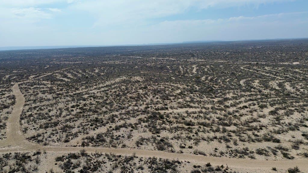 126 acres in Terrell County - photo 16